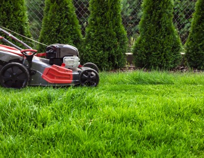 Lawn Mowing